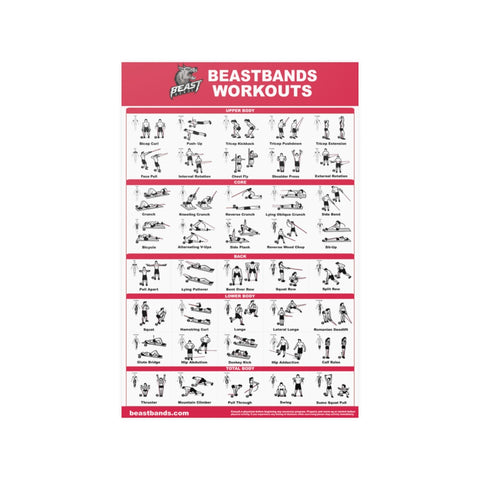 BeastBands Full Body Workout Poster 20″ × 30″